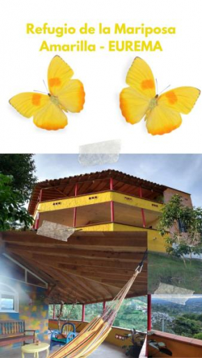 La Clara Campestre - Refugio de la Mariposa Amarilla - Eurema